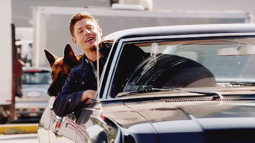 For the Love of Dean Winchester — Dog Days