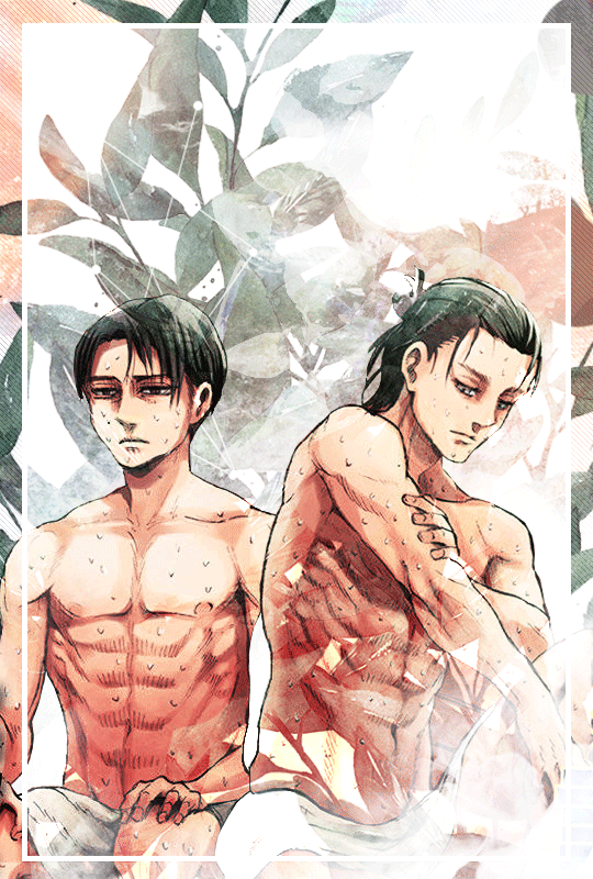 2D HC for poly relationship with Levi