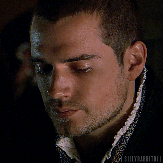 SILLYRABBIT81 Henry Cavill As Charles Brandon The Tudors 2007