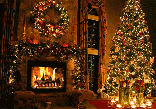 christmas tree tumblr photos