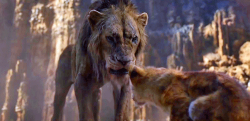 Aslan in The Chronicles of Narnia Looks So Much Better Than the CGI Lions  in The Lion King