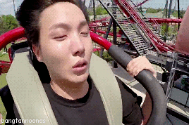 Only Bangtan Roller coaster riding with j derp