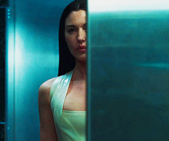 Monica Bellucci in The Matrix Reloaded (2003)