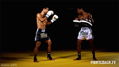 Techniques Rōnin MMA Shorts  MMA, Muay Thai, Boxing, Kickboxing