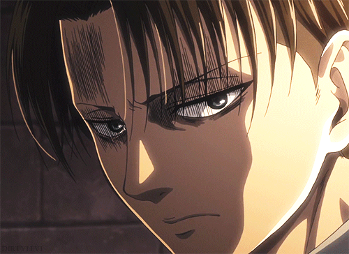 Fan Of Hell — Kids Need Friends. (Levi x Reader.)