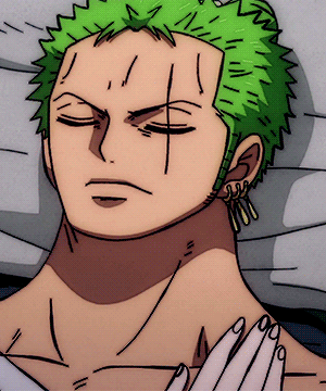 ZoroJuro♥  Aesthetic anime, One piece anime, Roronoa zoro