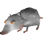 s0methigm4ybe