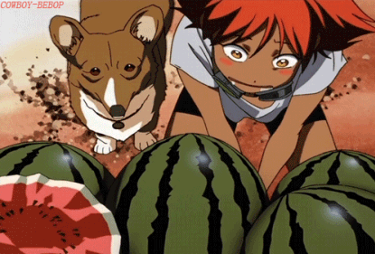 Cowboy Bebop — Watermelon Anyone?