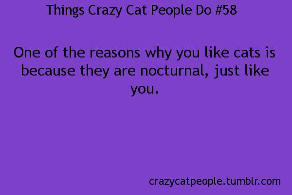 Things Crazy Cat People Do