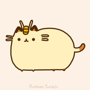 pusheen cat dragon