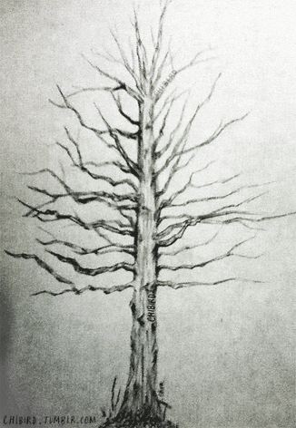 20 Easy Tree Drawing Ideas
