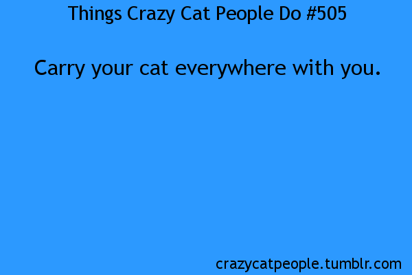 Things Crazy Cat People Do