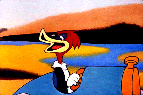 woody woodpecker the reckless driver