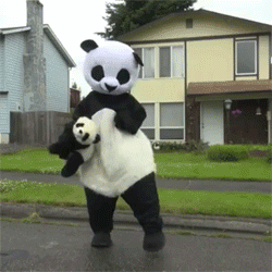 Panda dance GIF on GIFER - by Thunderstaff